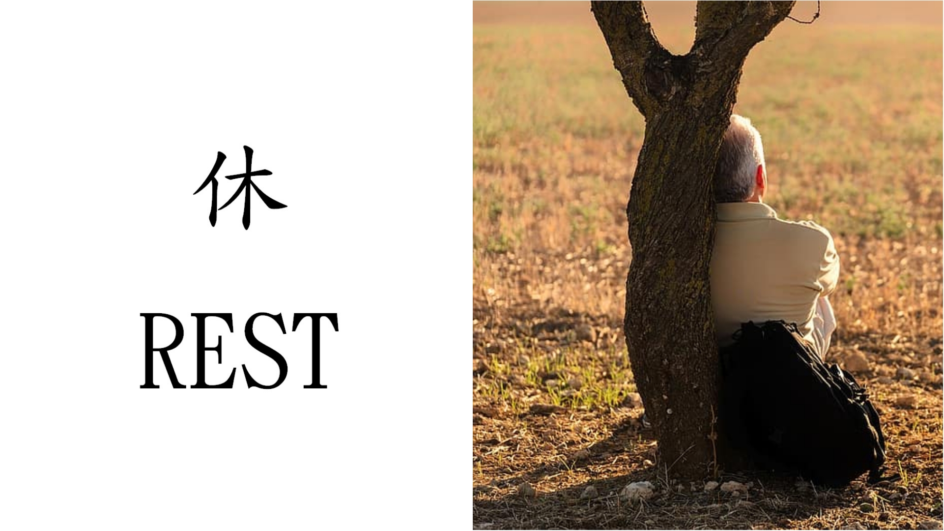 Photo shows you the meaning of Chinese character for rest