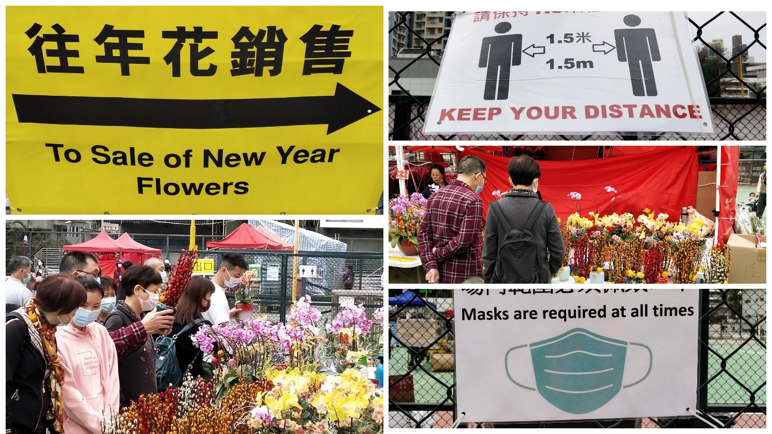 flower selling point for Chinese New Year