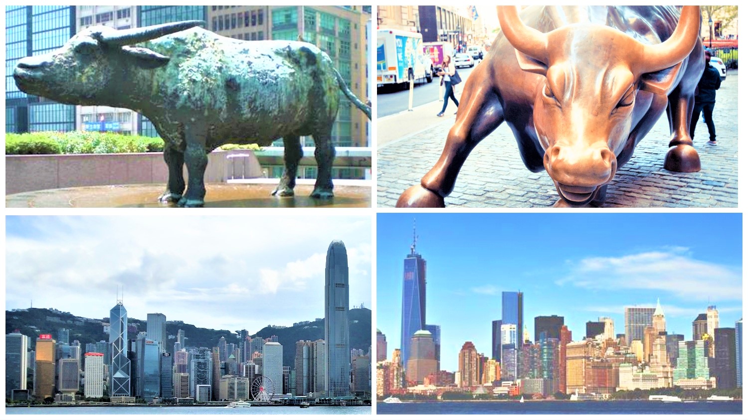 Compare Hong Kone's buffalo statues and New York's Charging Bull statue