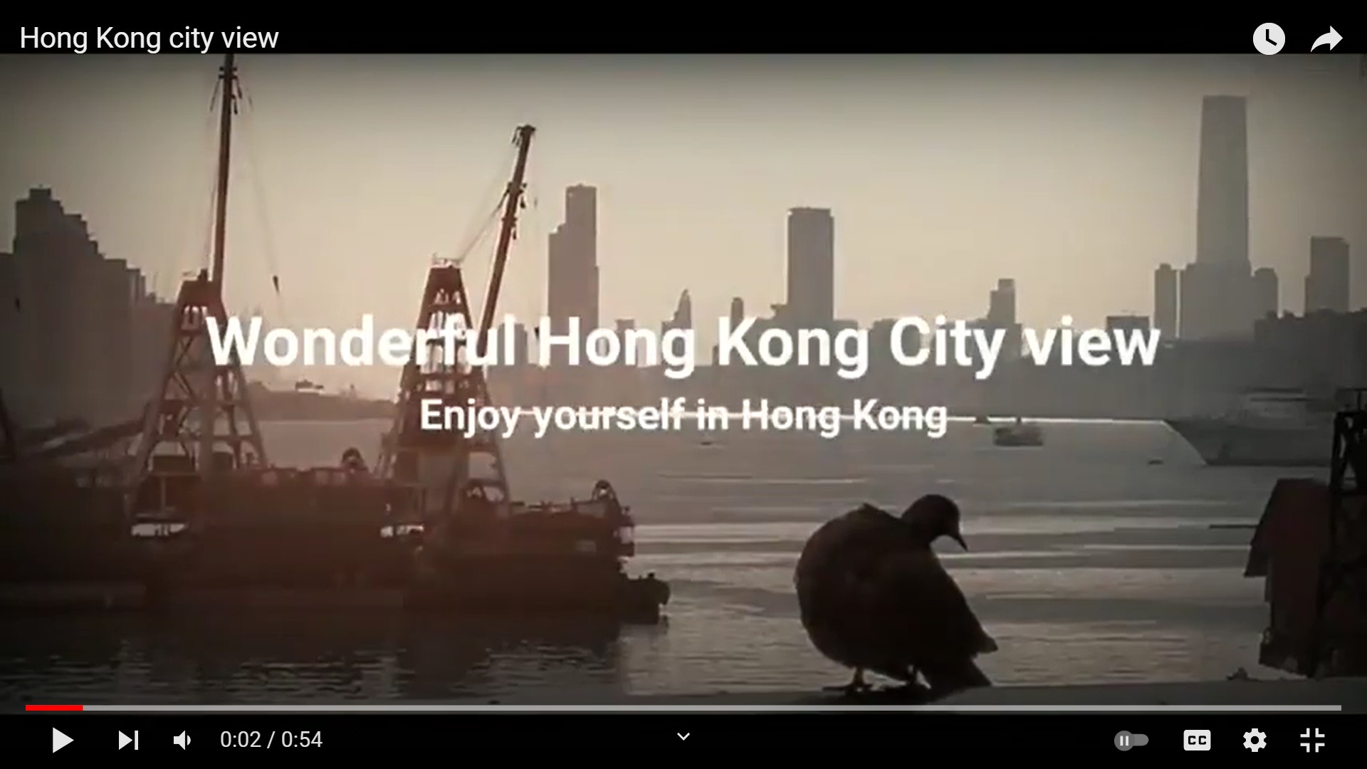 "Hong Kong city view” snapshots video of Frank