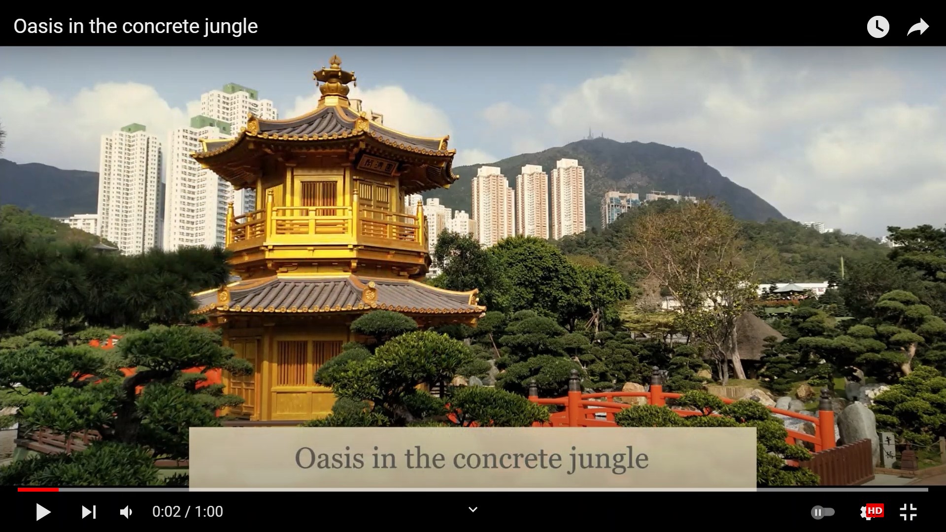Oasis in the concrete jungle video screenshot