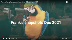 Screenshot of Frank's snapshots Dec 2021 video