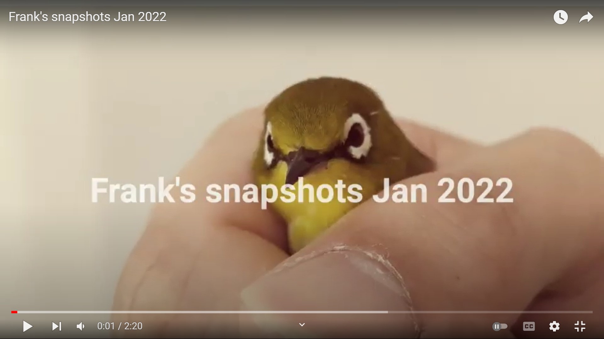 Screenshot of Frank’s snapshots Dec 2021 video